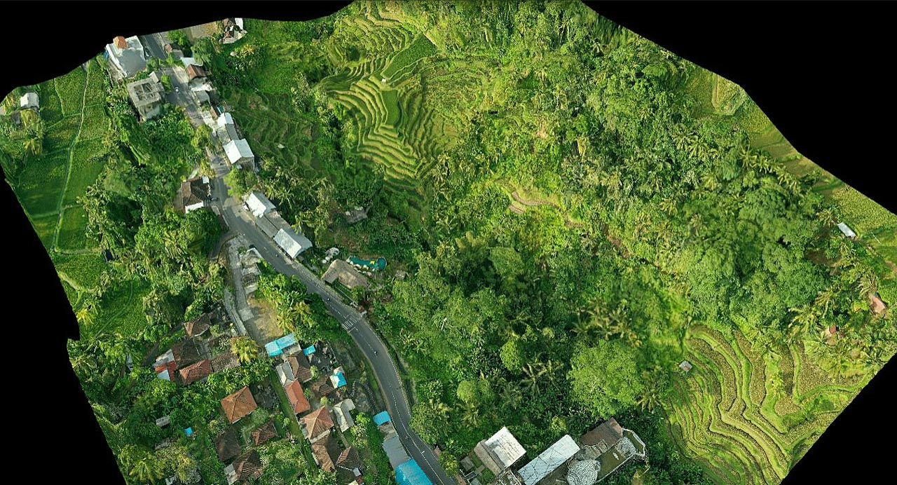 Orthophoto 3D Photogrammetry of a Road with Houses next to a Jungle Valley in Ubud, Indonesia